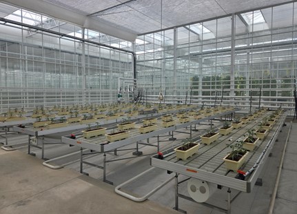 [뉴스]에코프로에이치엔, 공기 중 이산화탄소 직접 포집 기술로 미래 농업 혁신 이끈다